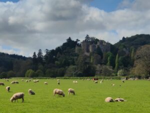 Dunster Castle