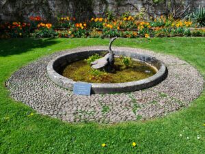 Little pond