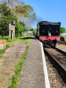 Spring Sunshine at Dunster Station
