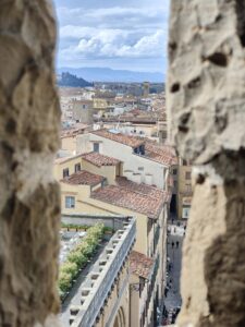 View over Florence