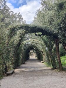 Pathway off Cypress Lane