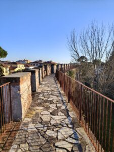 Pisa City Walls