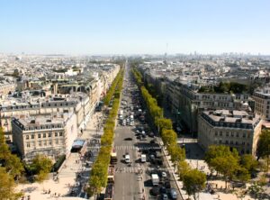 Paris' Tree Lined Avenues