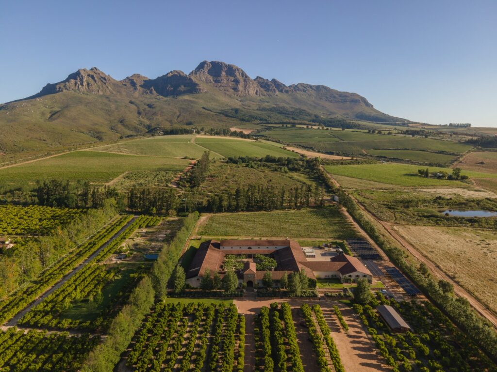 The Waterford Estate - Premier Stellenbosch Winery & Vineyard - Photos by Waterford Estate