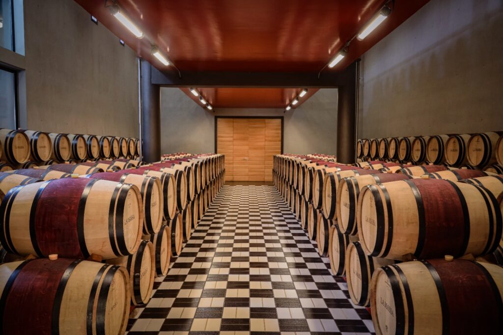 Wine cellar corridor lined with oak barrels on both sides, checkered floor, and a wooden door at the far end.